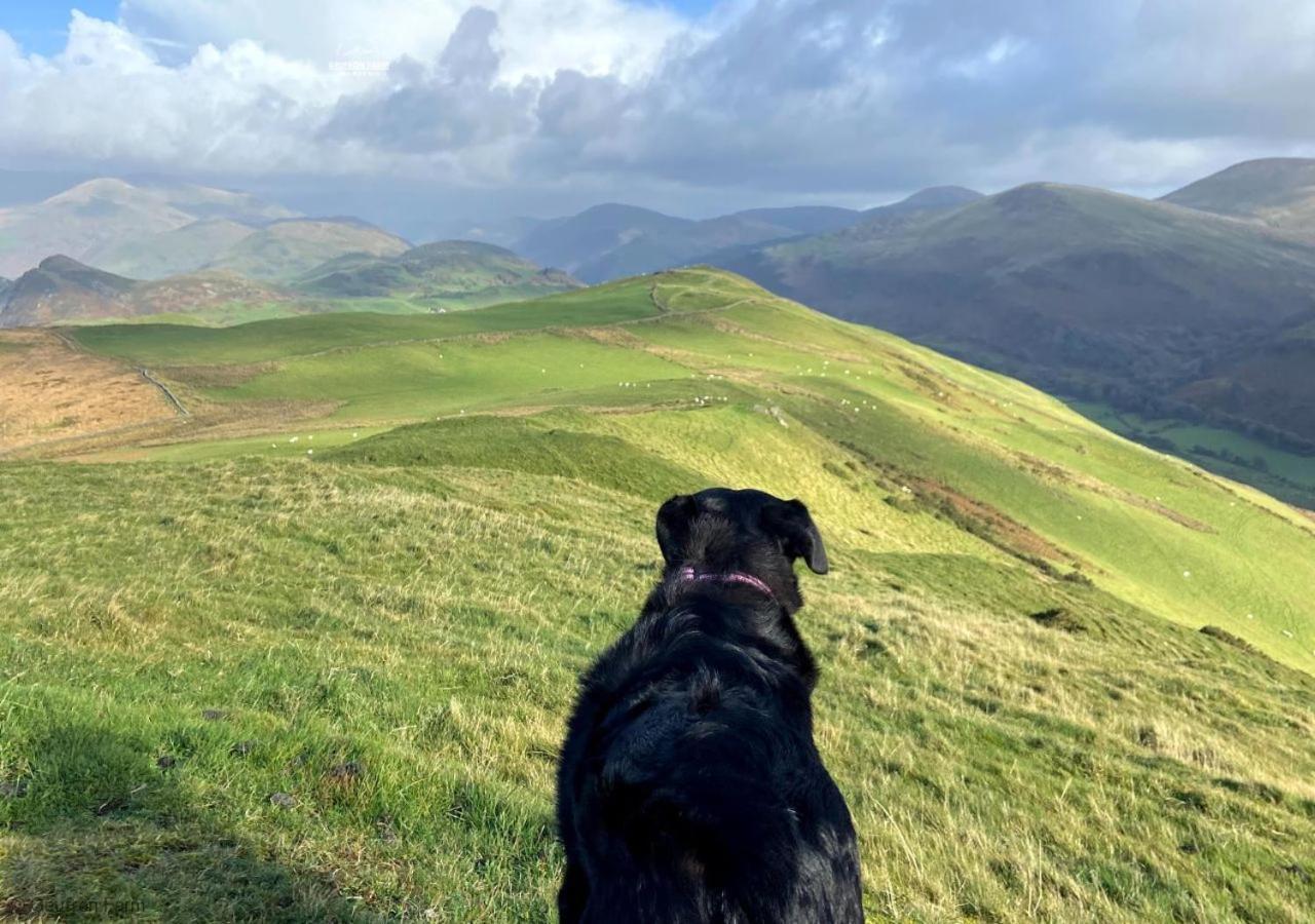 Farmhouse & Cottage At Geufron Farm - Dog Friendly Bryn-crug Luaran gambar